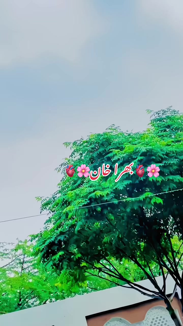 @♛𝐍___𝐊 N̸i̸a̸z̸i̸♕