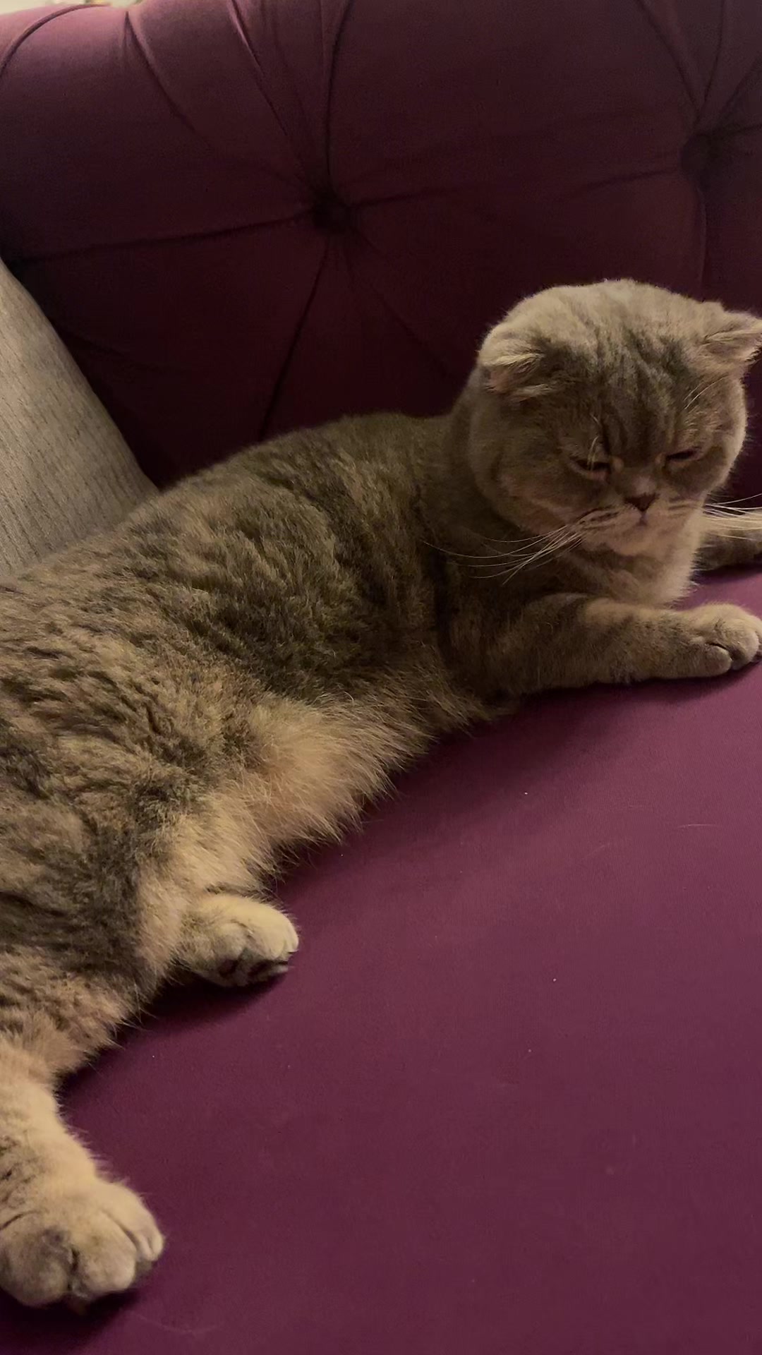@Pamuk Balcı 53 53