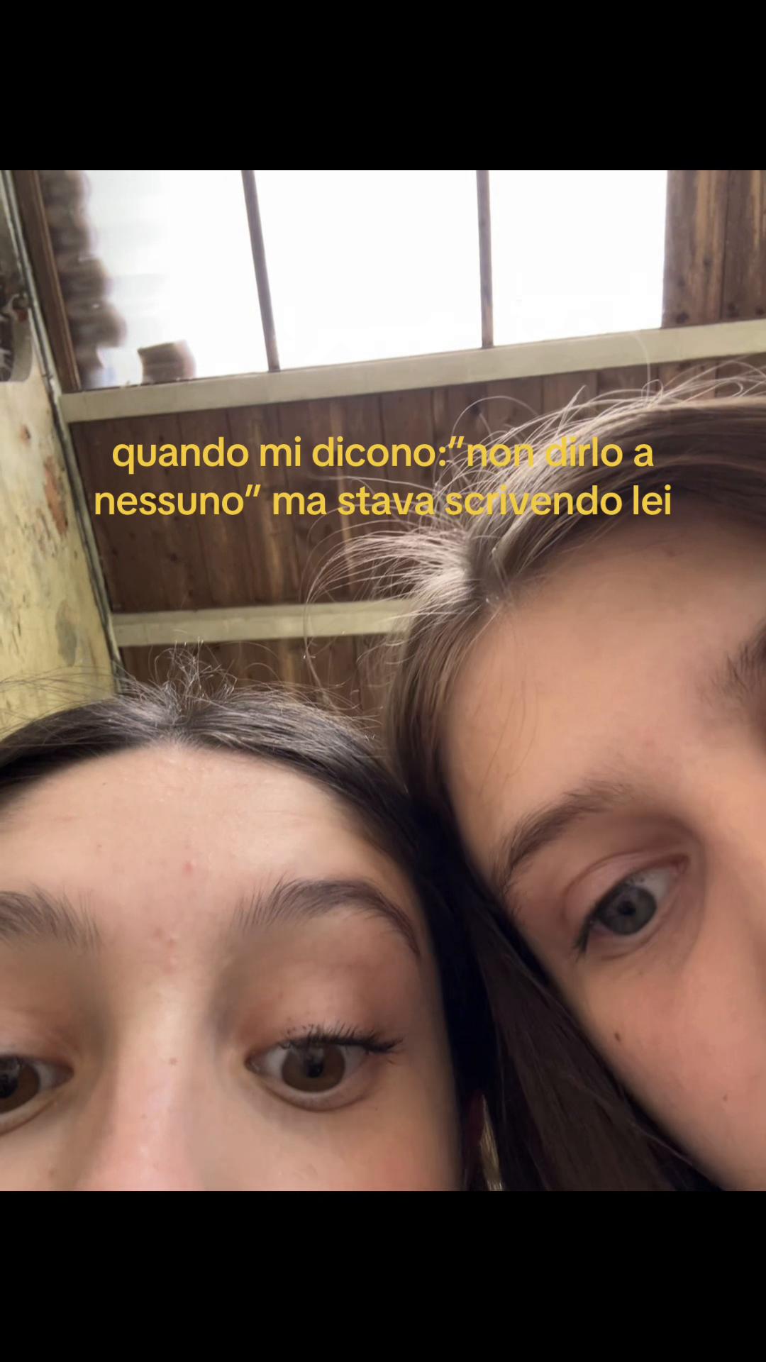 @spamm.gree