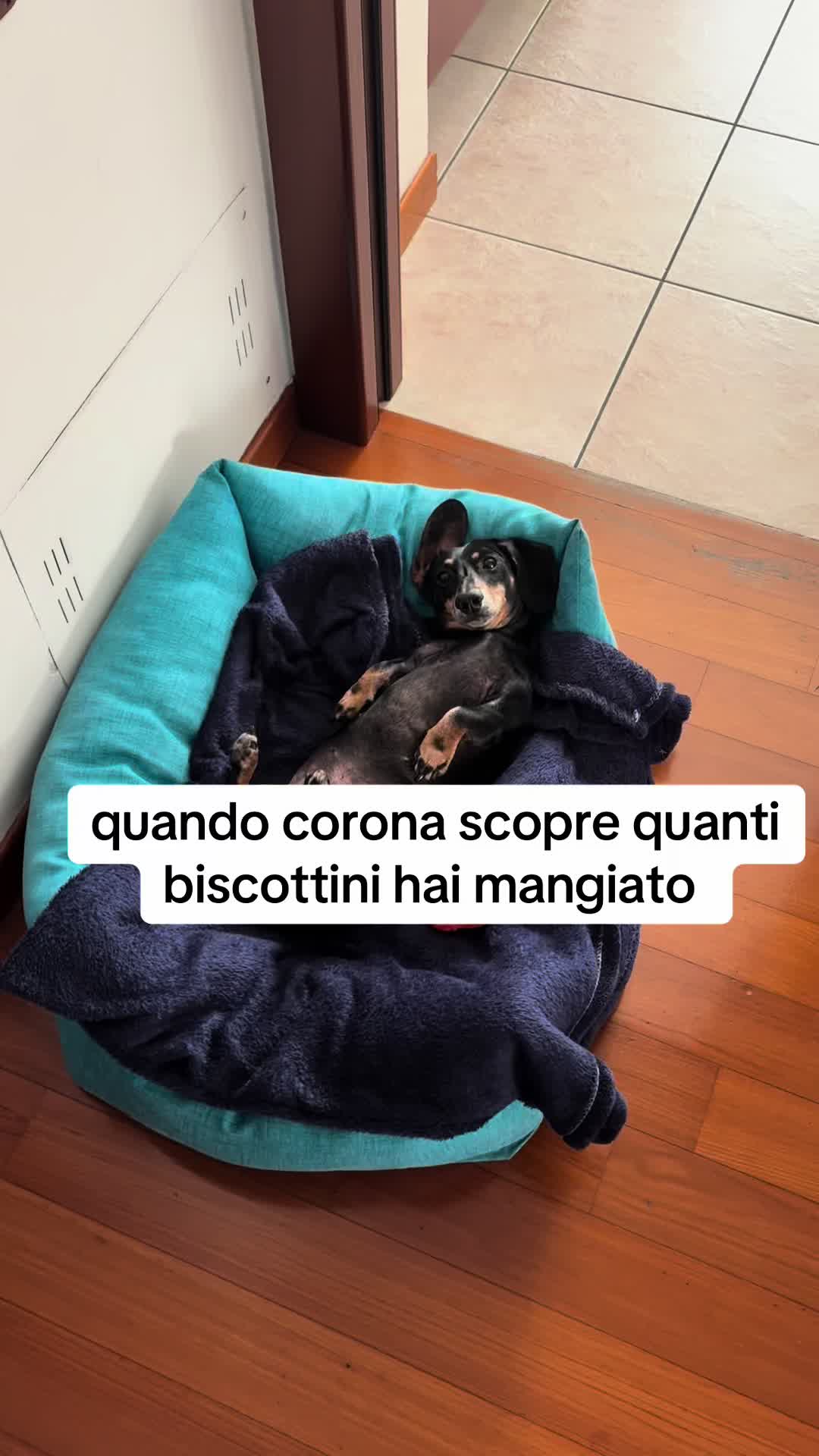 @Benedetta Domenichelli