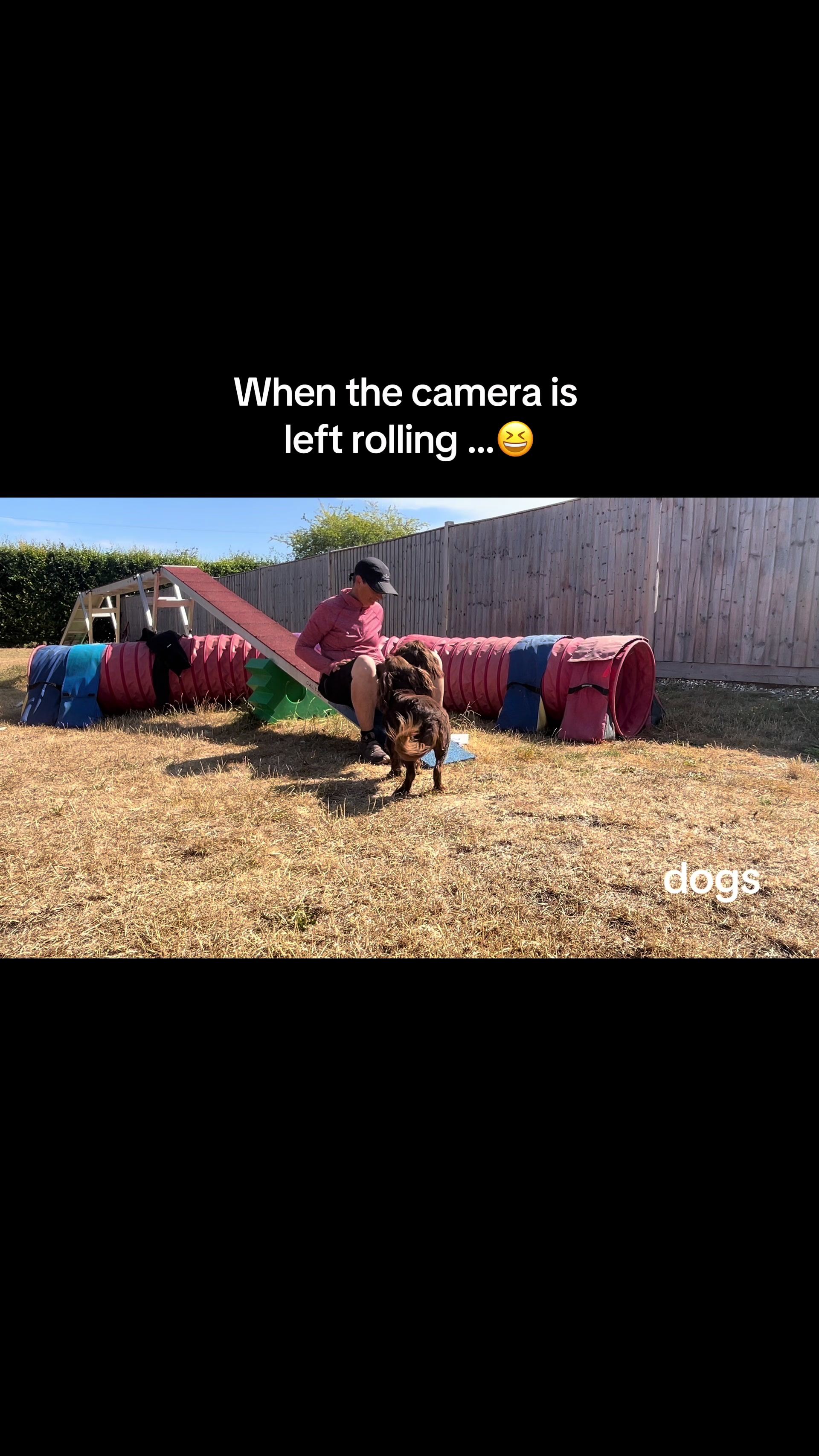 @Pipstar 🐕🦺