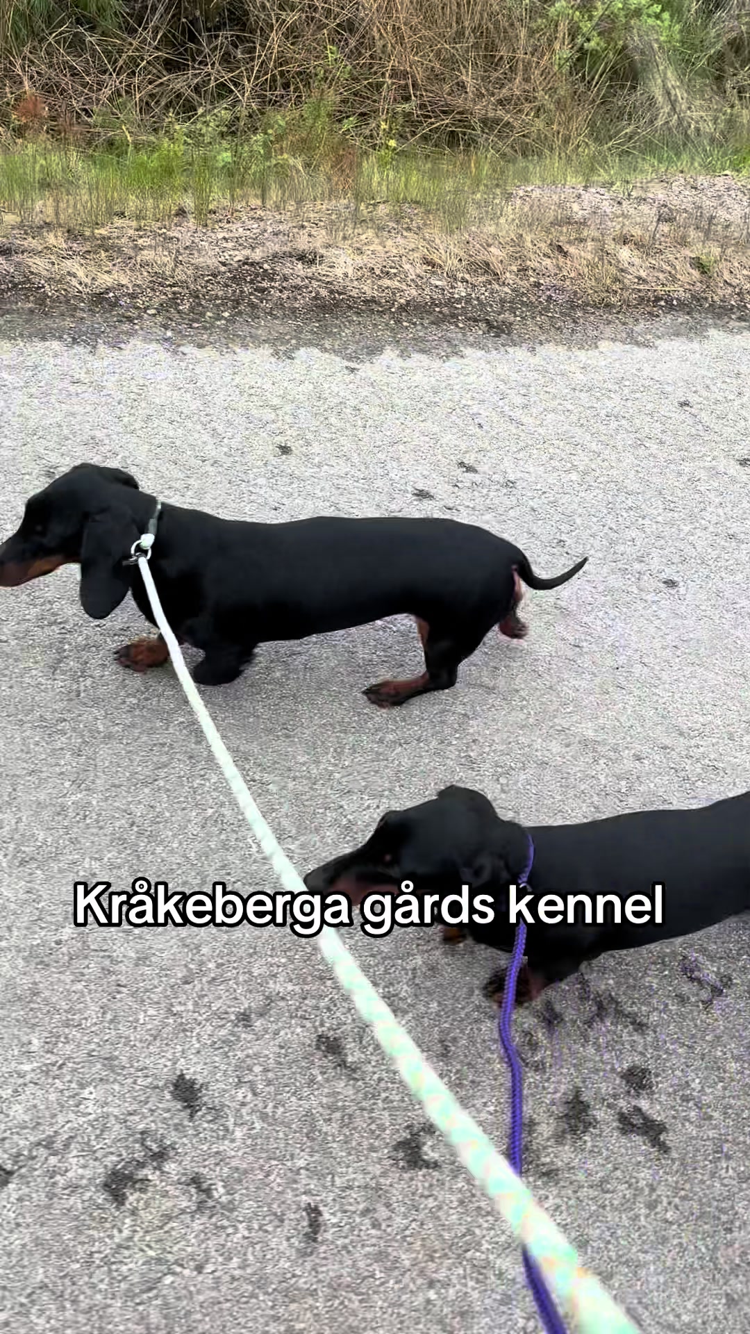 @Anna
