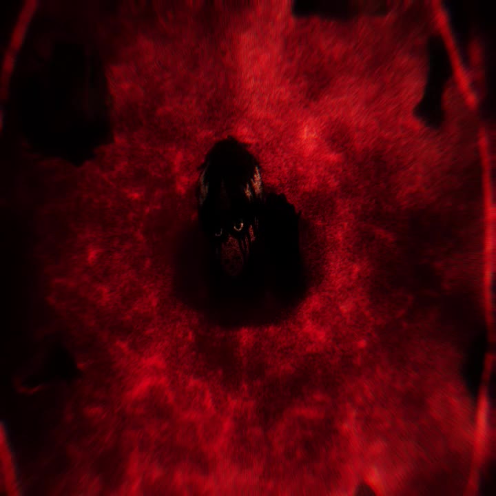 @𝐌𝐀𝐗