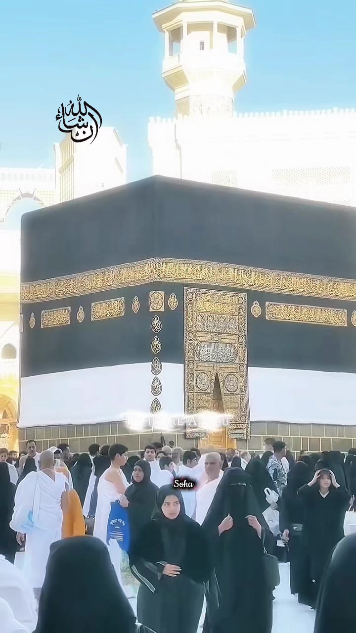 @ᔕOᕼᗩ ᗯᖇITEᔕ