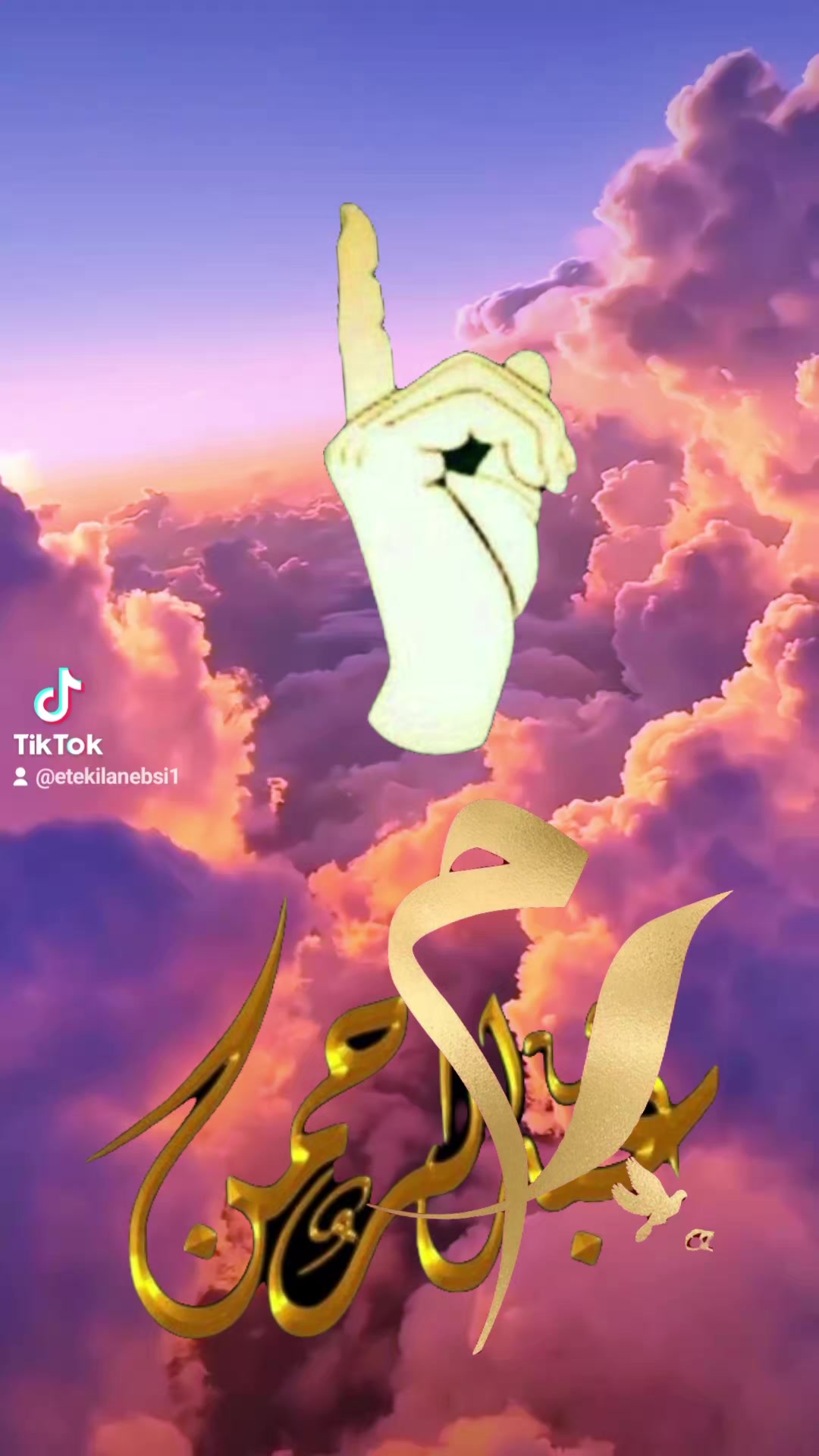 @ኢተቂሏህ ነብሴ 1الله كريم🕊🤍Ⓜ