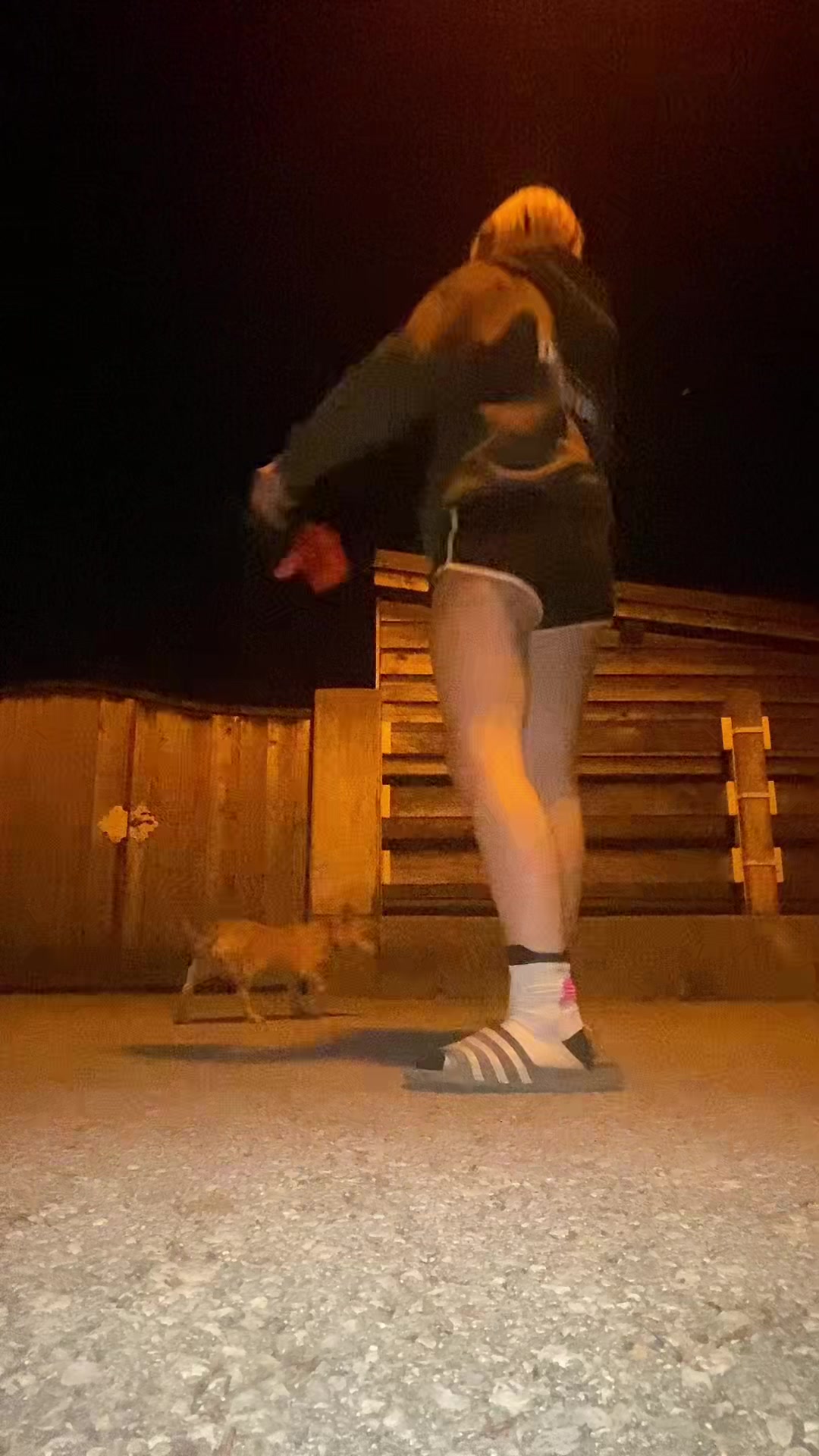 @Kimi🪬🌀