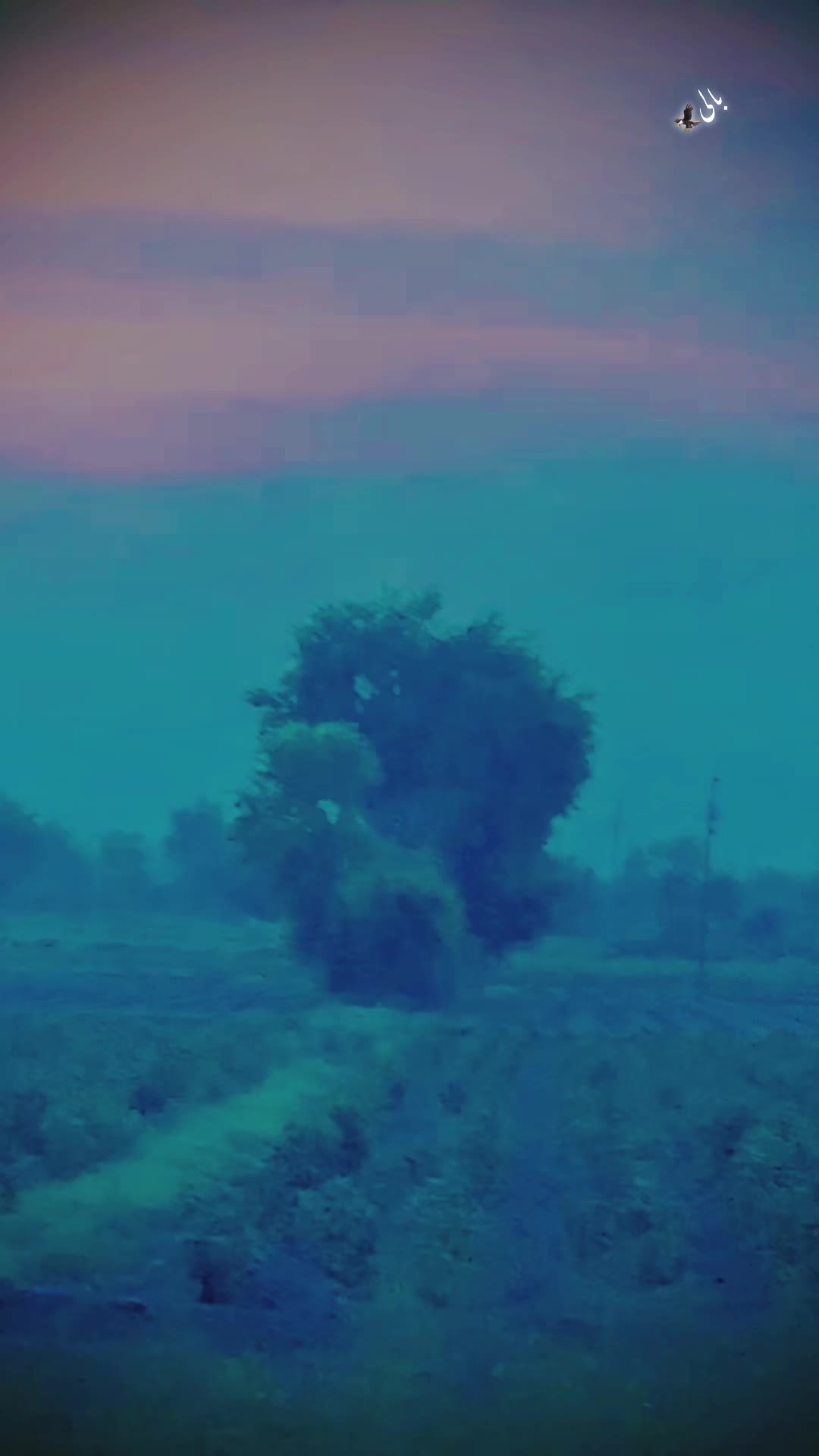 @ملک بلال اصغر کانجو