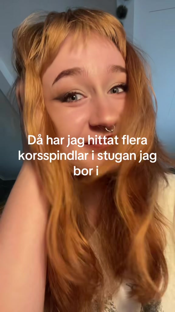 @Majsan