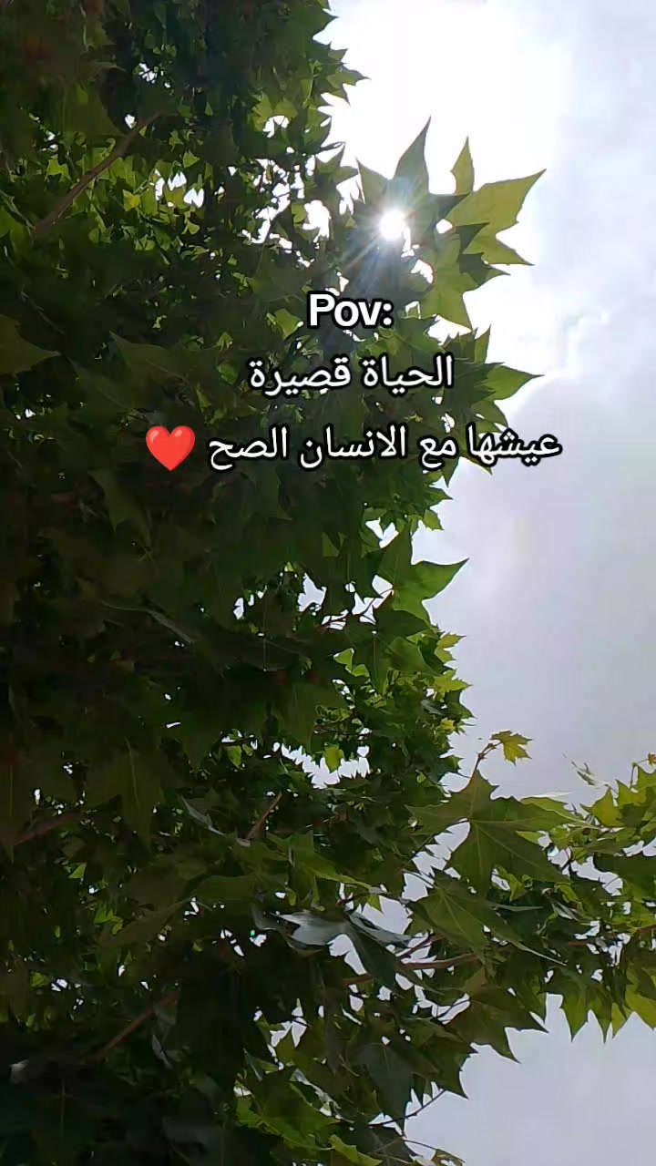 @๐ฉทโจMALAK_BA๐๐งธ