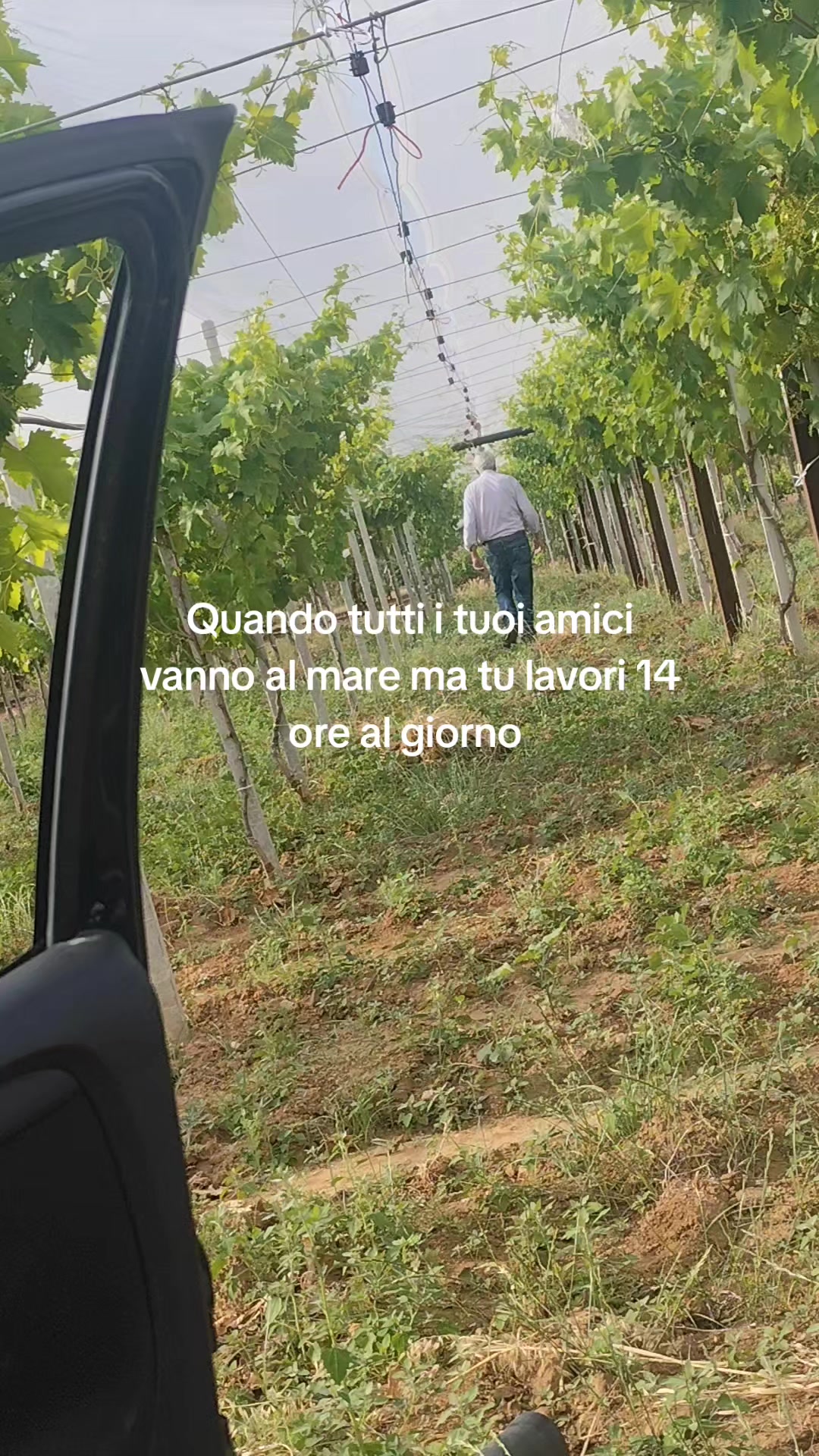 @Rosa Coletta