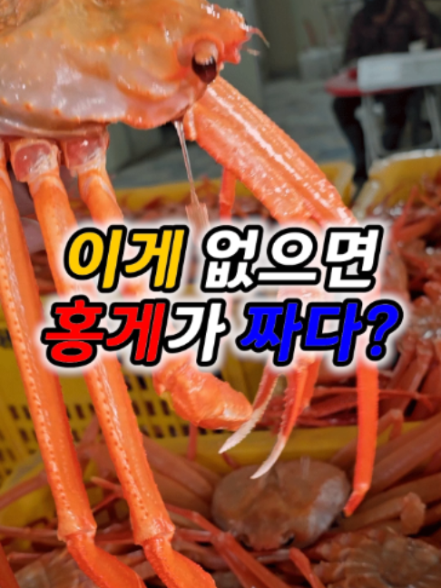@싱싱헌터스
