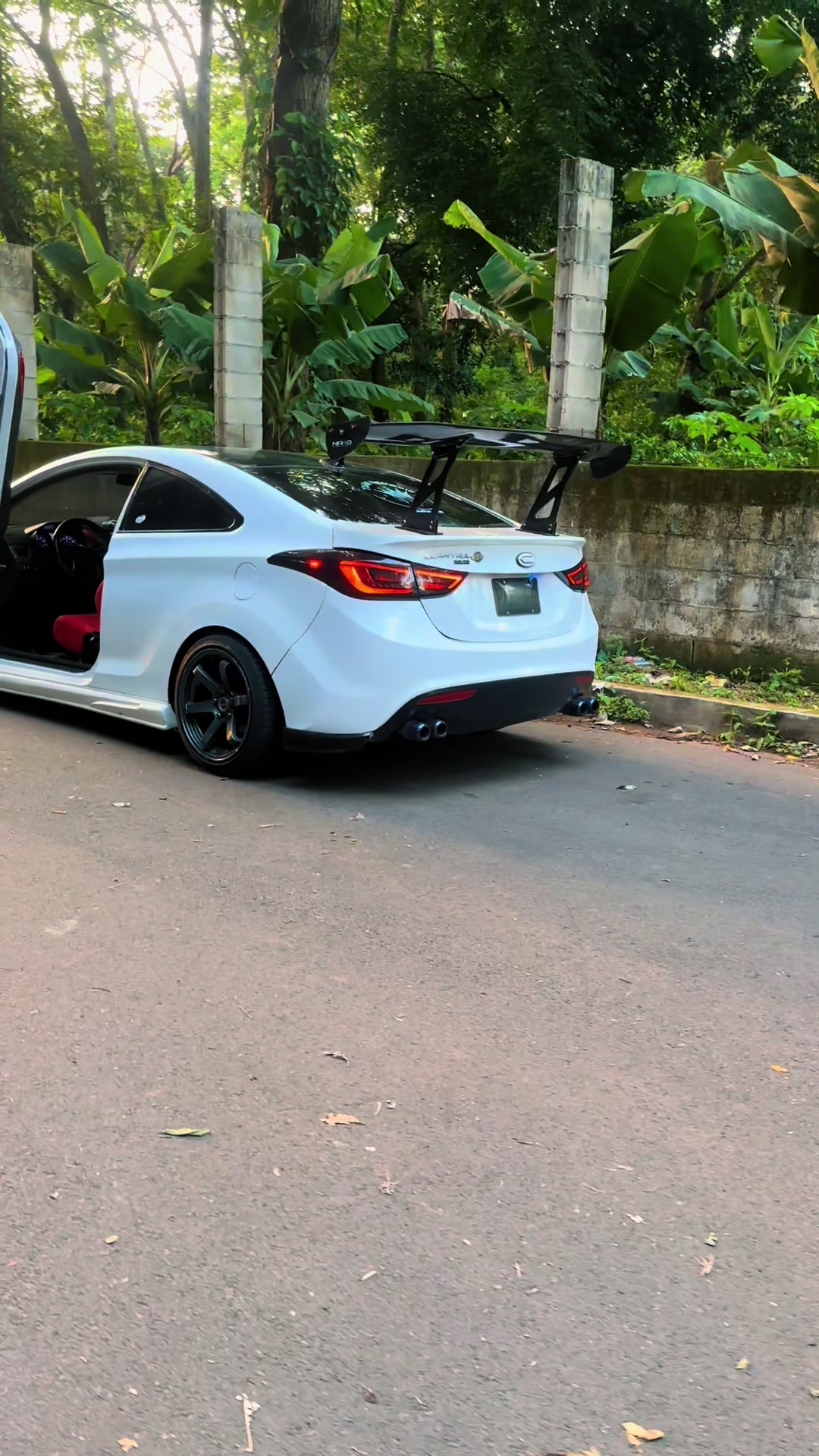@Avante Lambo