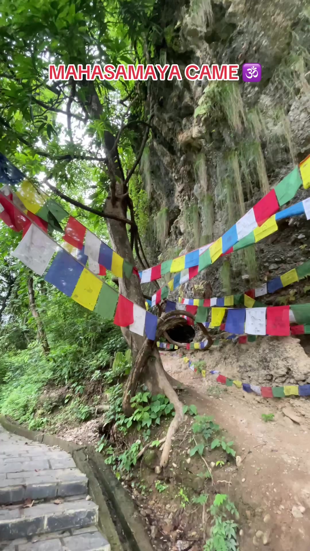 @Rupa Tharu