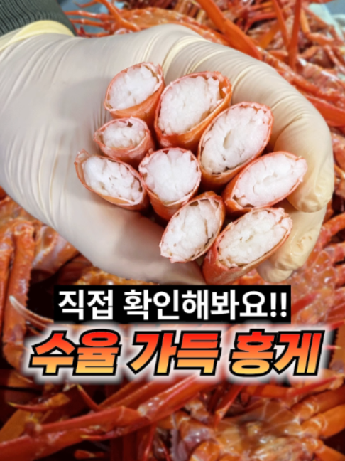 @싱싱헌터스