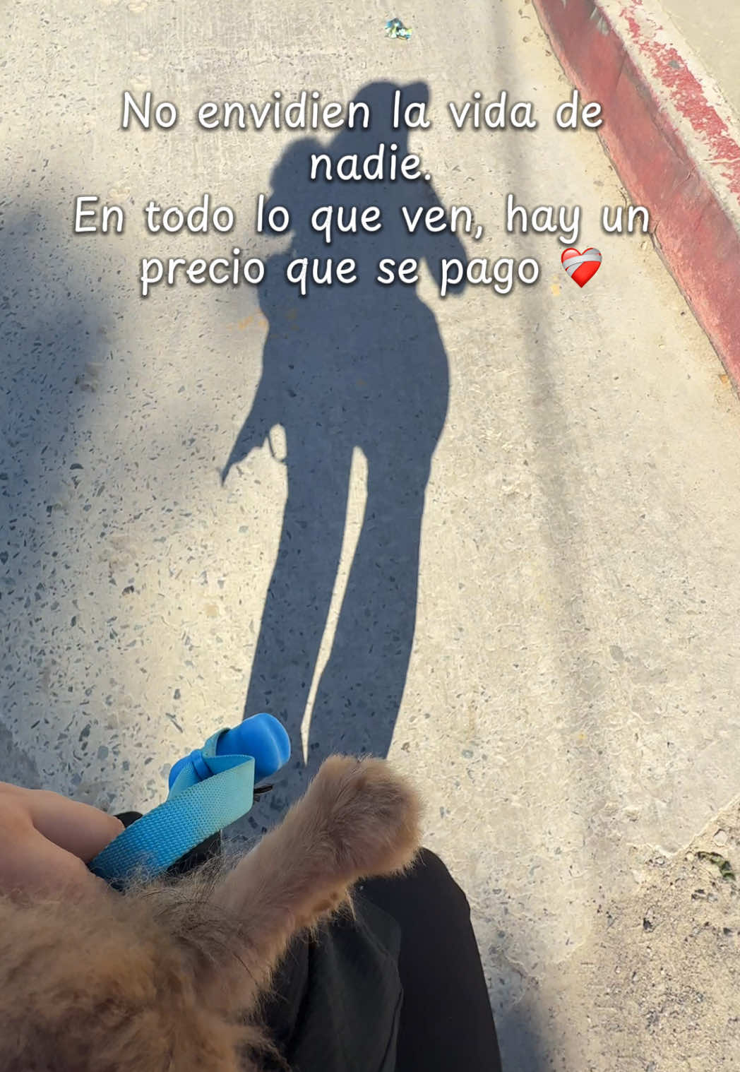 @Gigi Glez