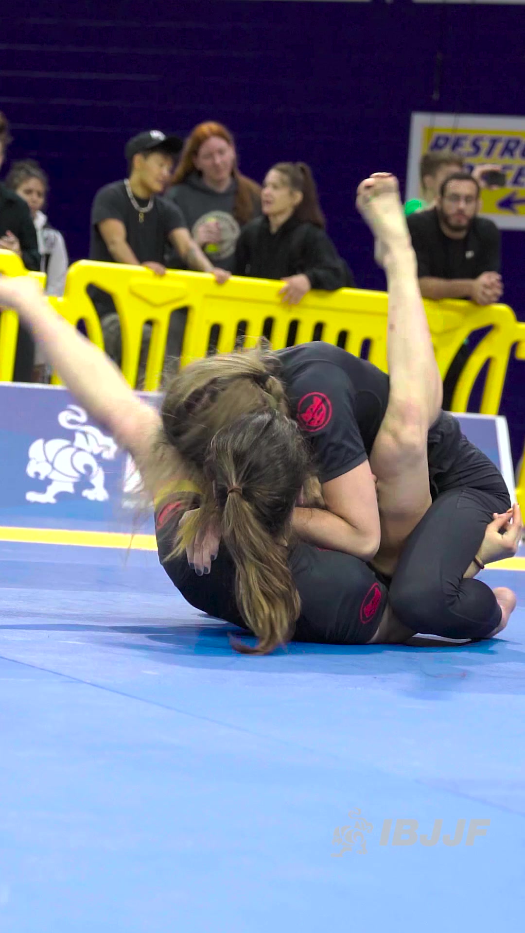 @IBJJF