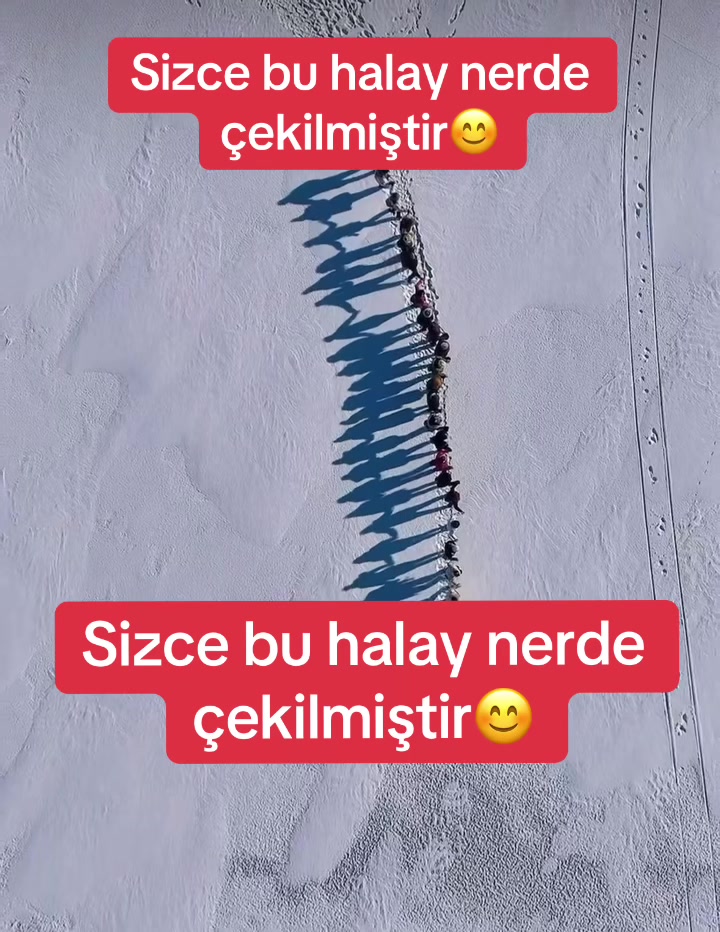 @Aylin Demir Fanları