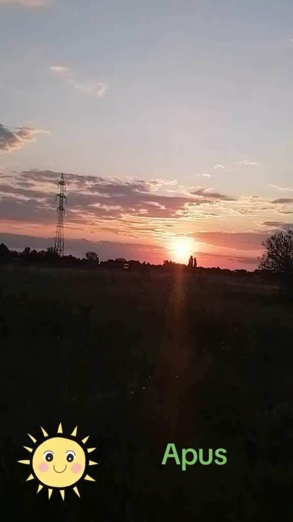 @alinmarcu327