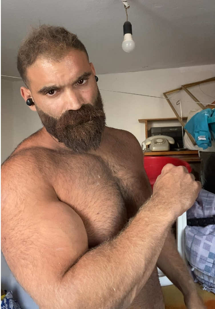 @Giorvo