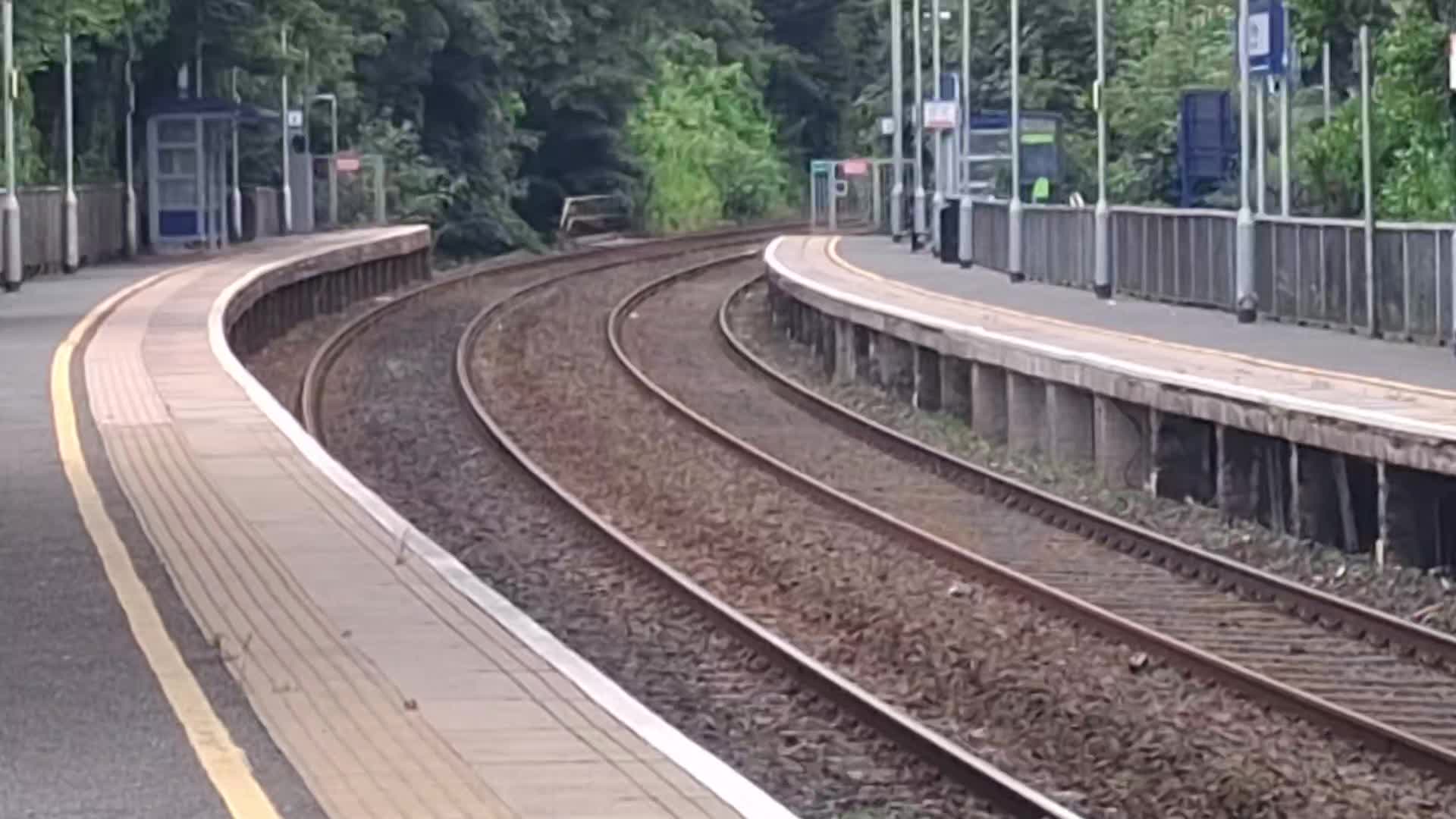 @level trains