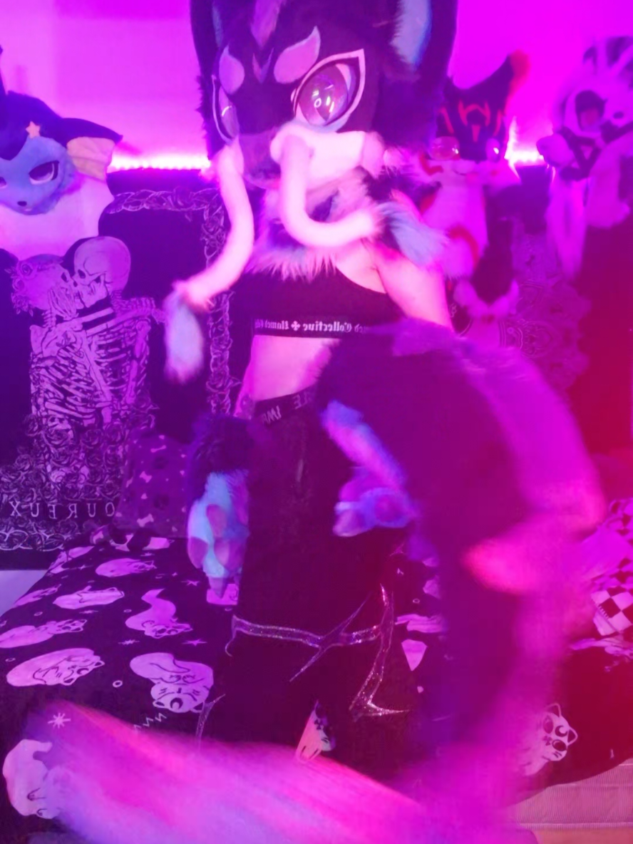 @Bailey (lilpixiekitten)