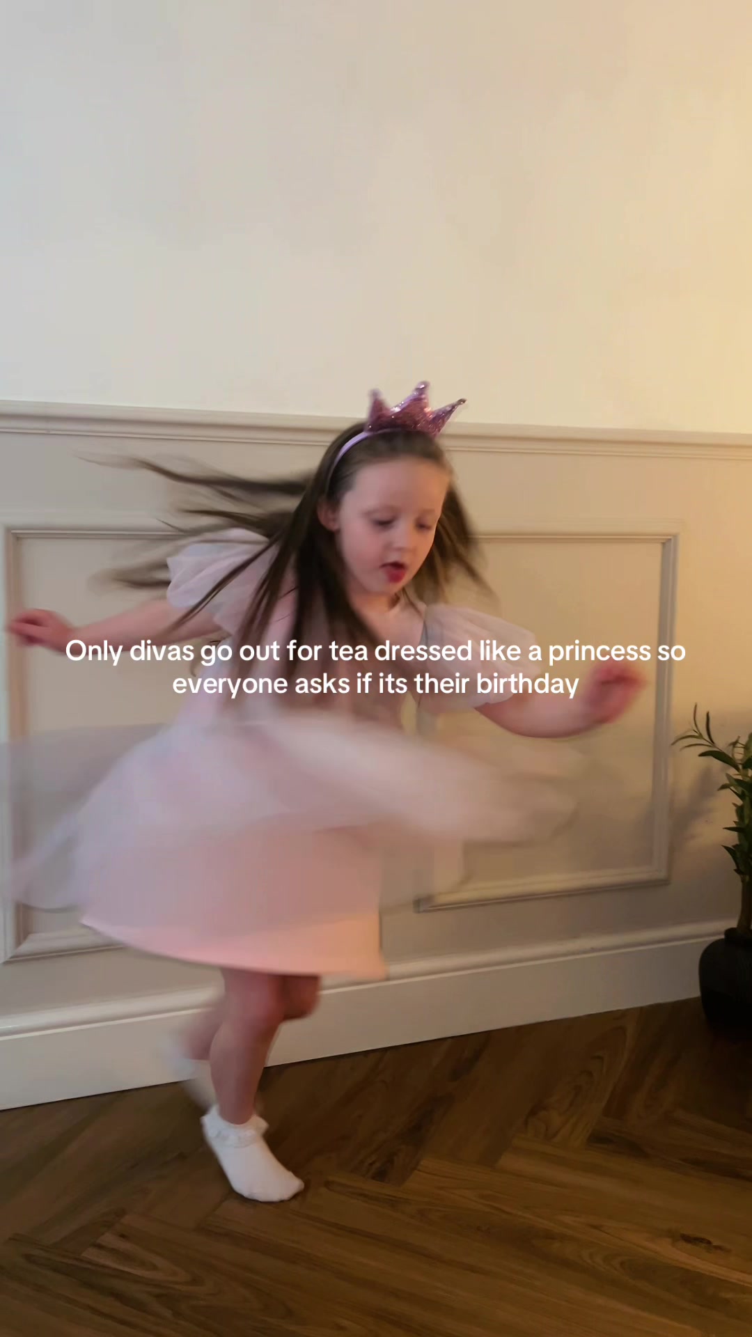 @amylauren