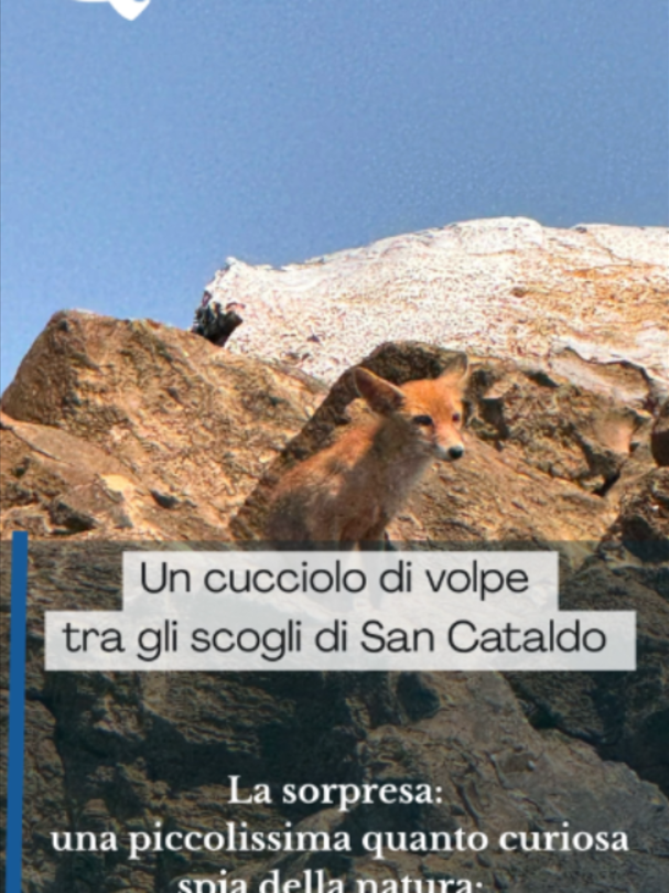 @Quotidiano di Puglia