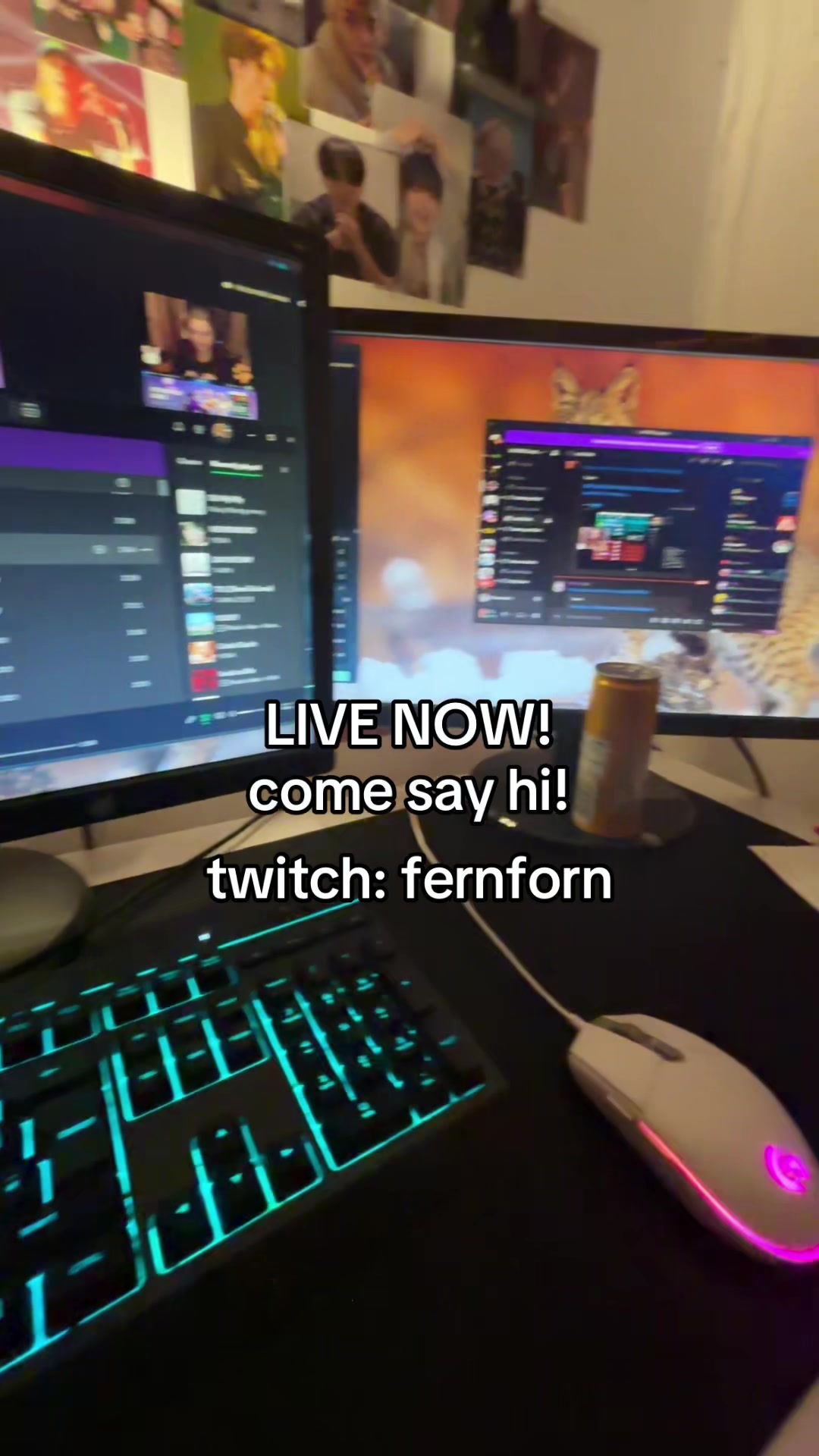 @Fern <3 streamer 😝