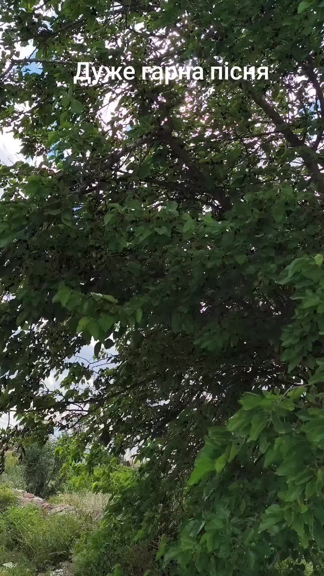@Андрюха Чайкін
