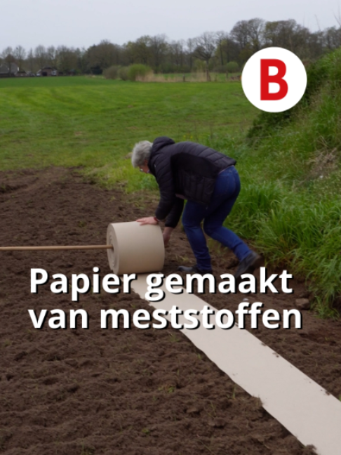 @Boerderij