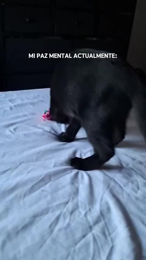 @Jenn