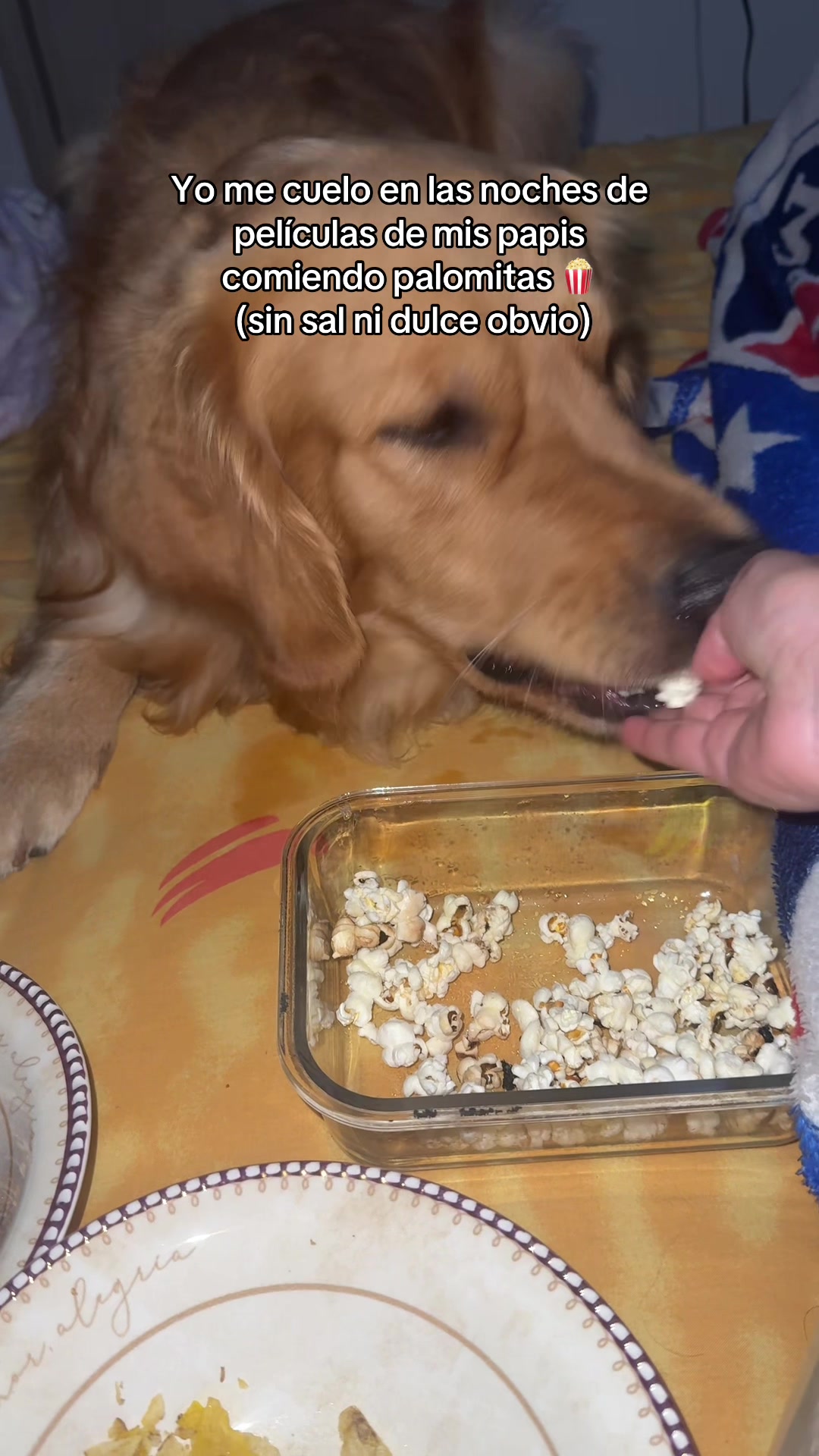 @Soy Milo 🐶