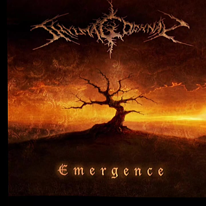 @Metal_songs