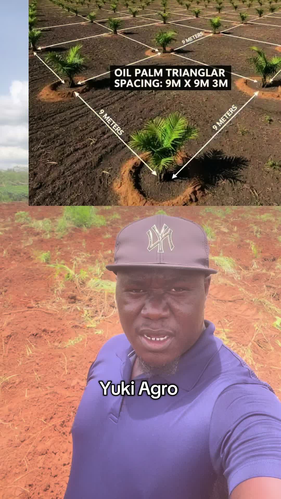 @BabaObaTv @Yuki Agro limited