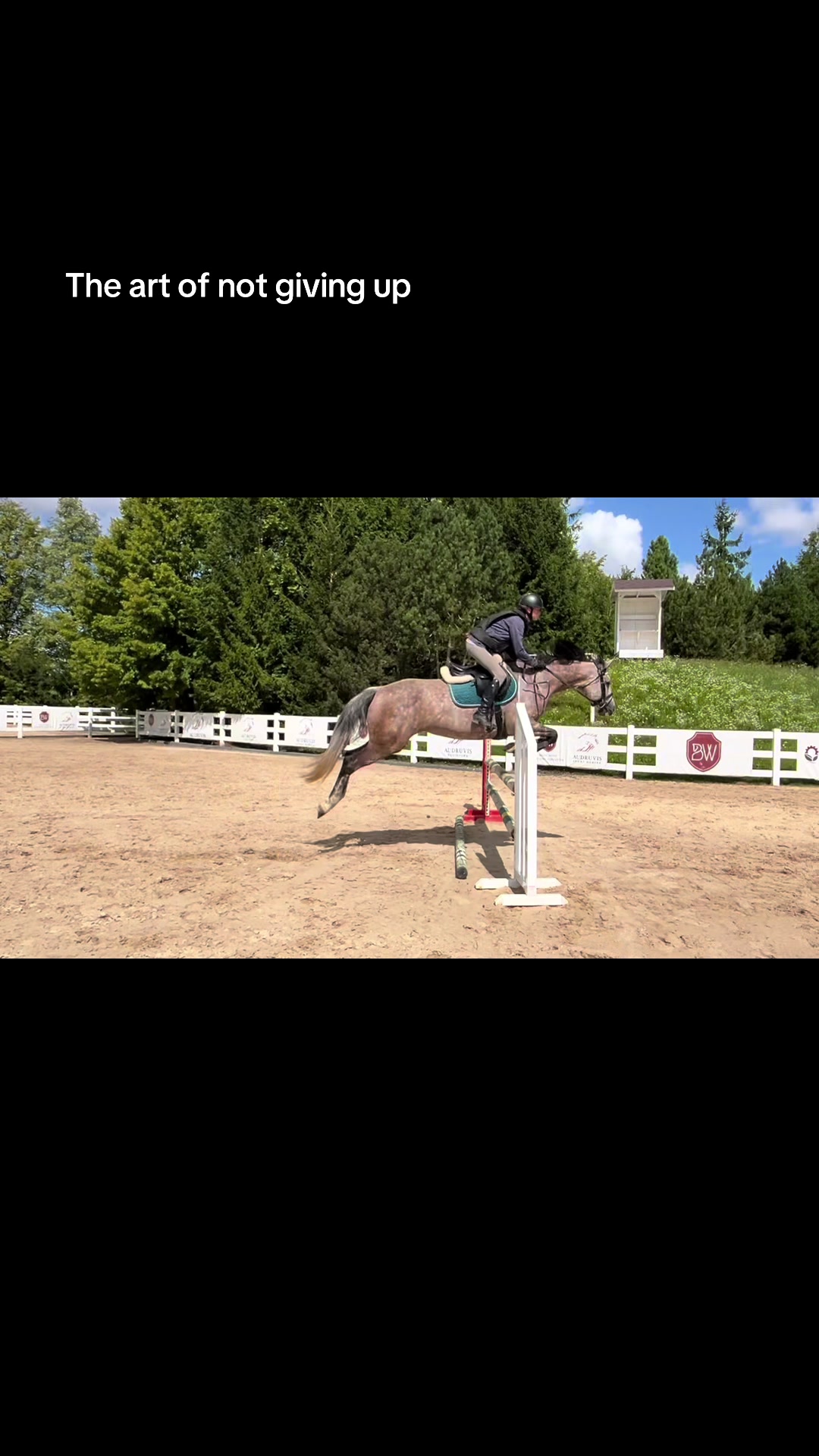 @🐴