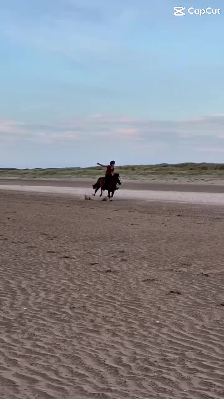 @🐎🤭
