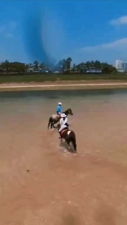 @🐎타는바린이🏍