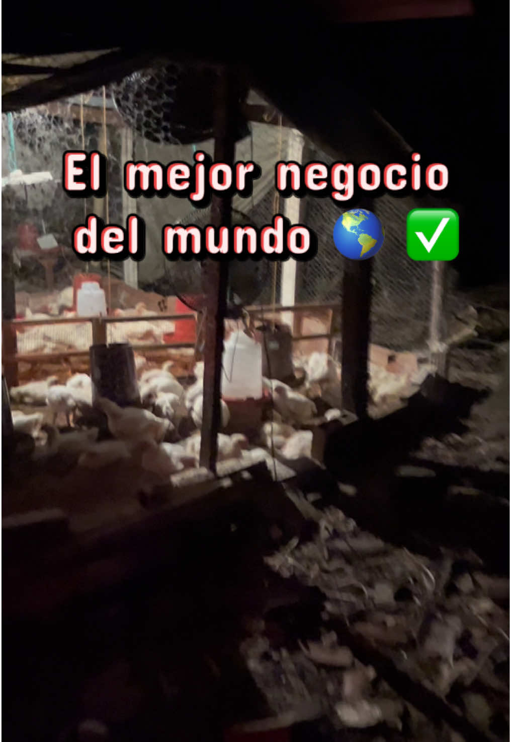 @elmagnatedelospollos