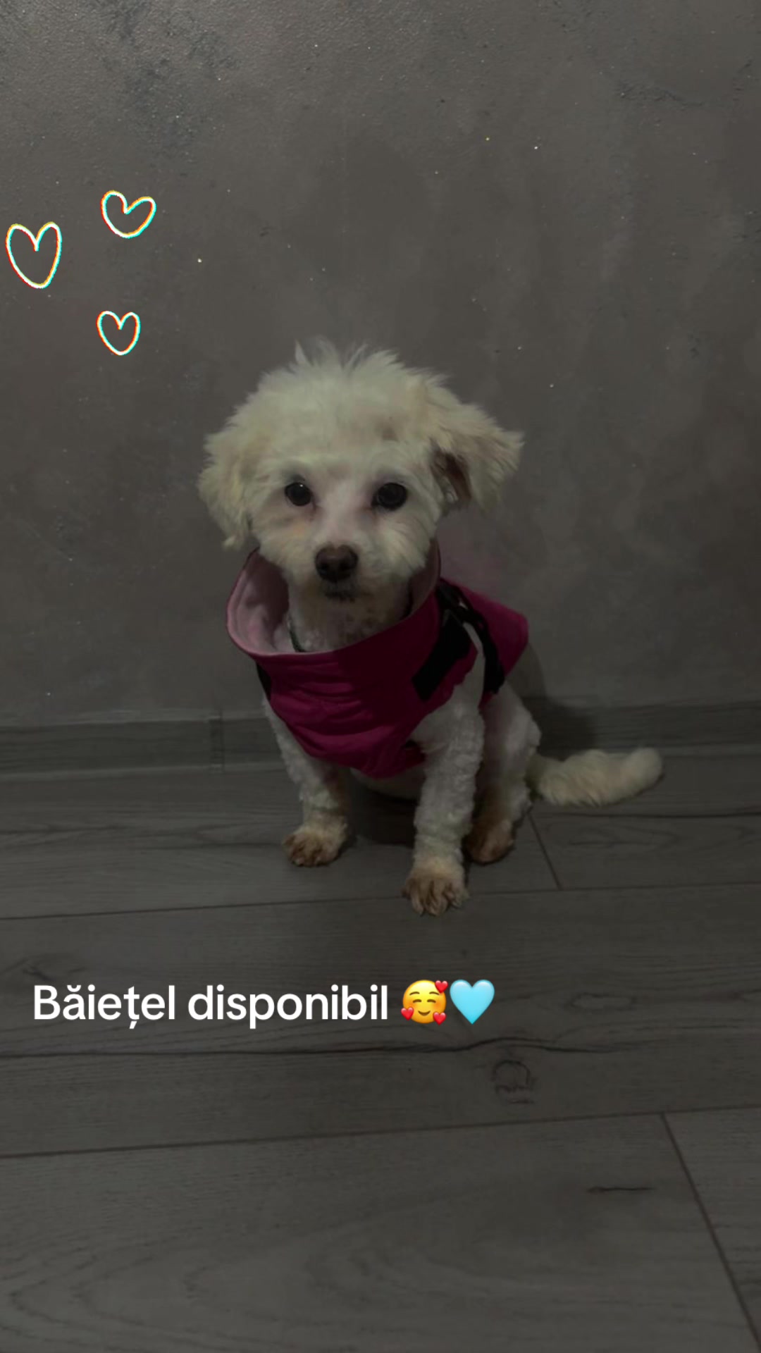 @valentina23