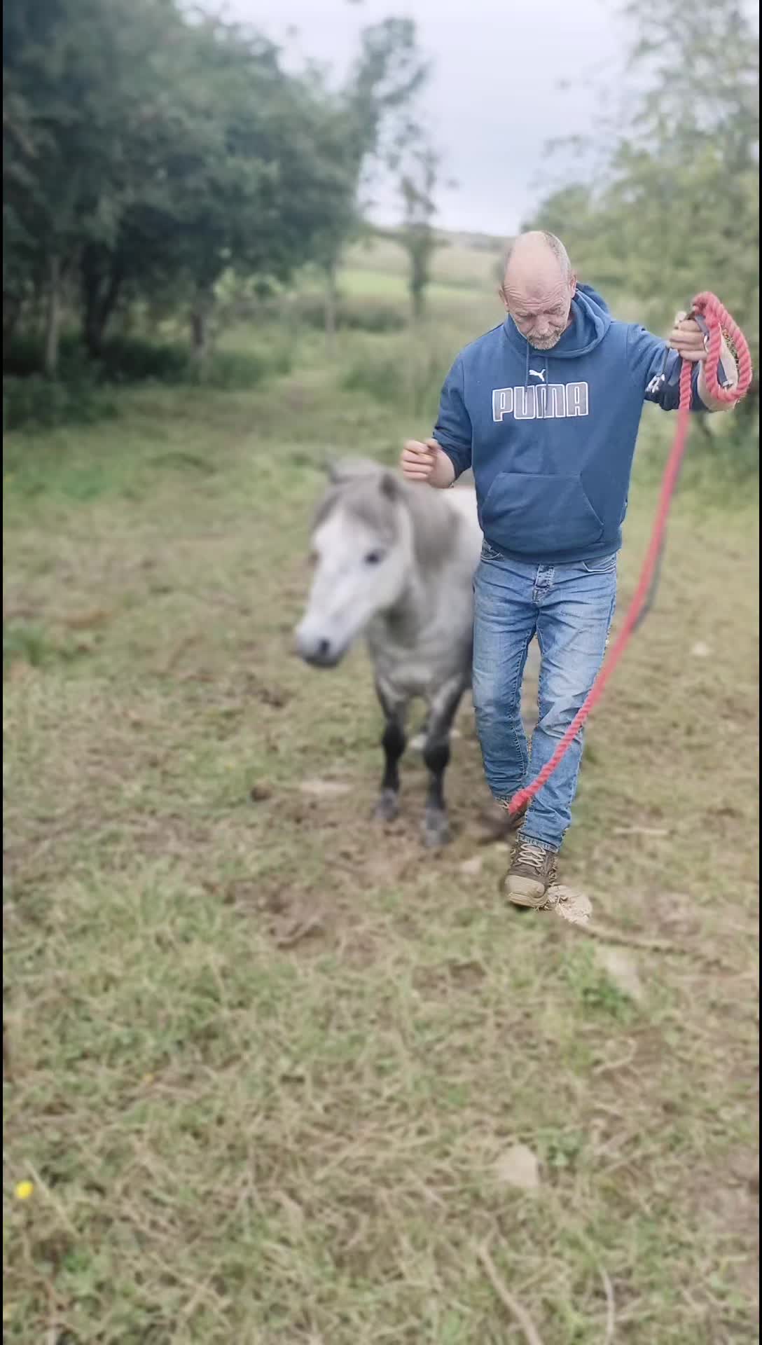 @Miss Poppy and friends 🦄💖