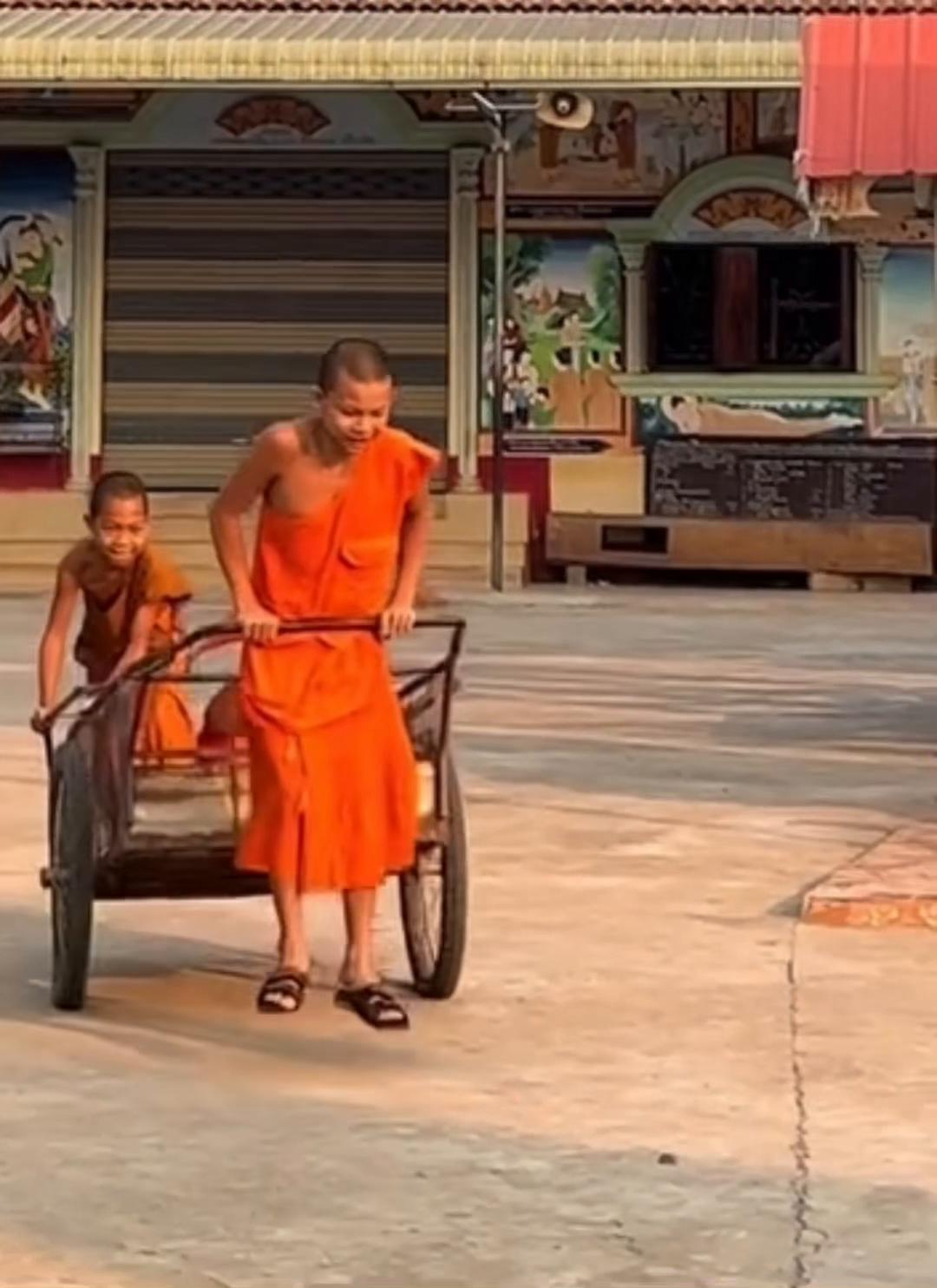 @C&ocirc; Độc Vương