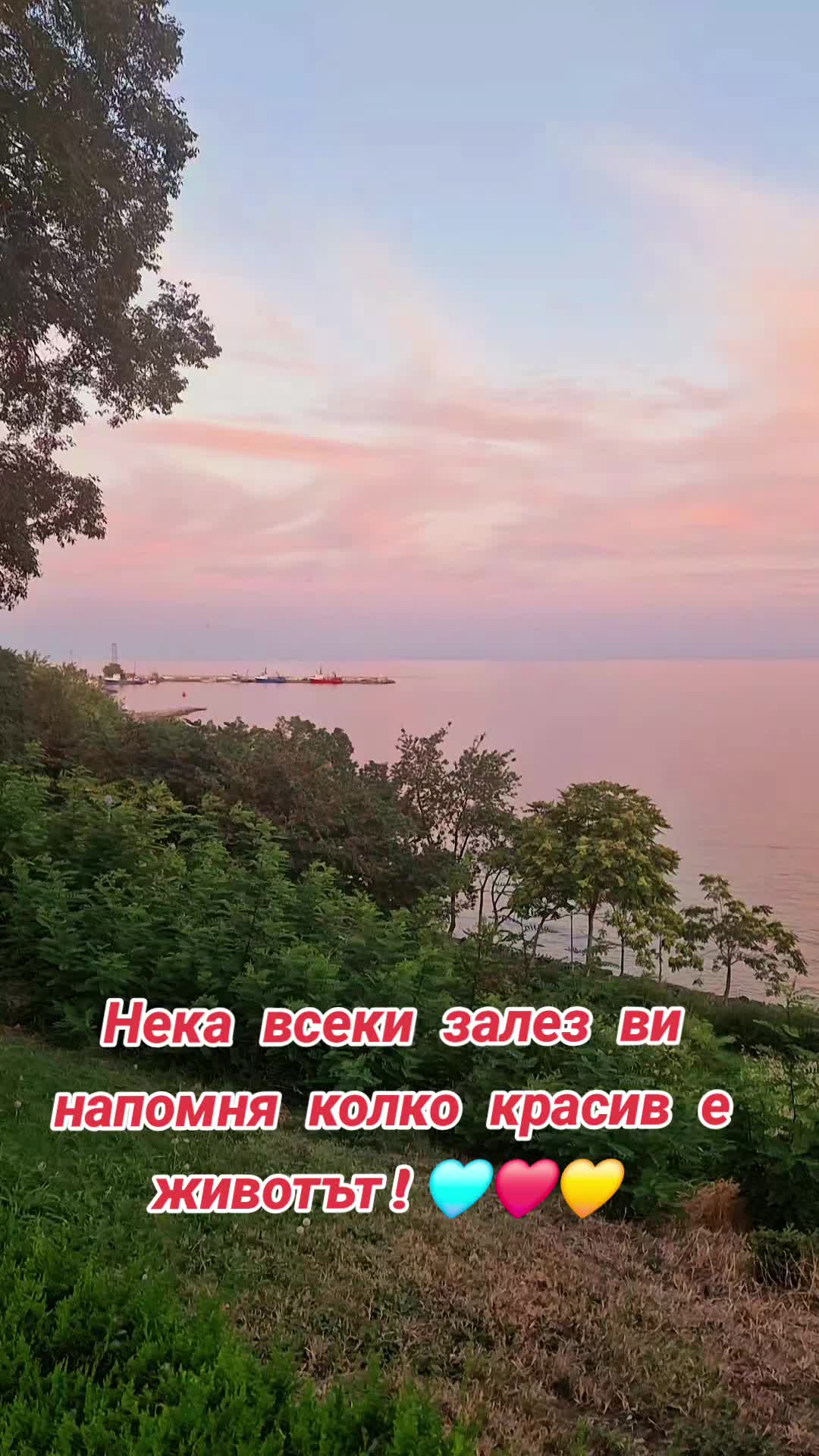 @АНИ 777