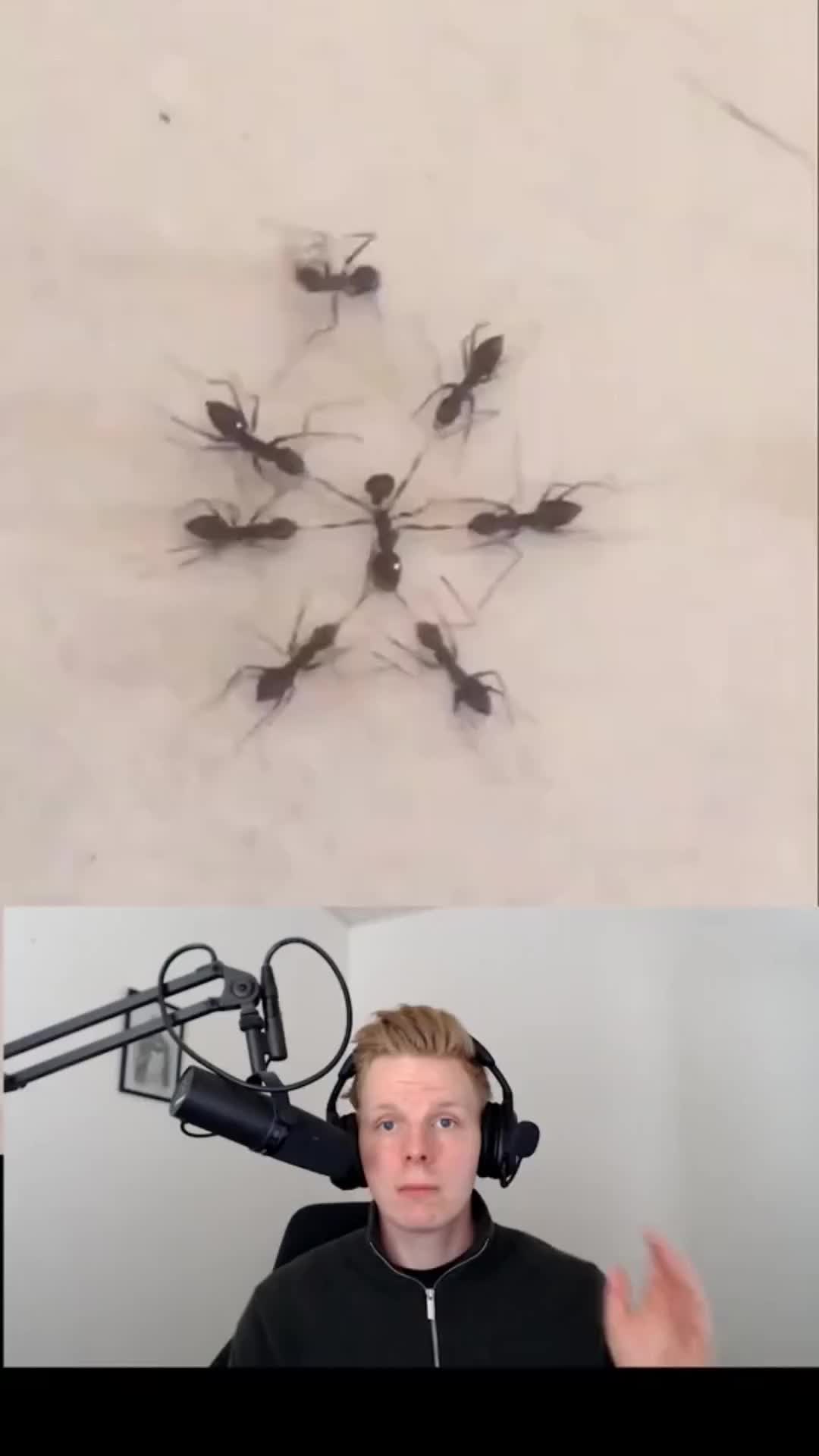 @Finnstories