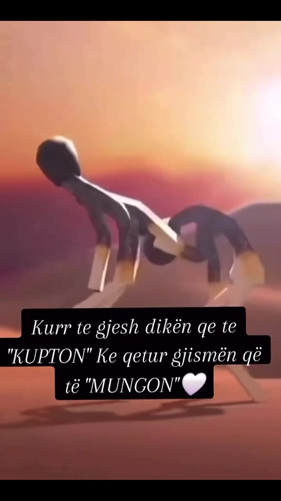 @Syri bukur