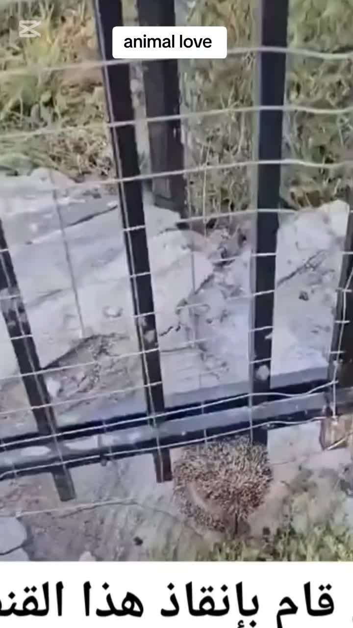 @MA