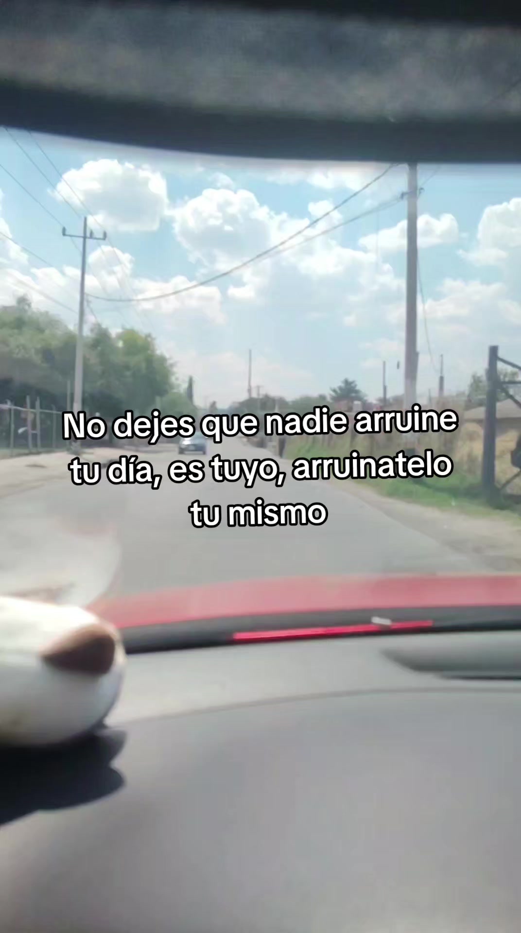 @Gerardo McQueen