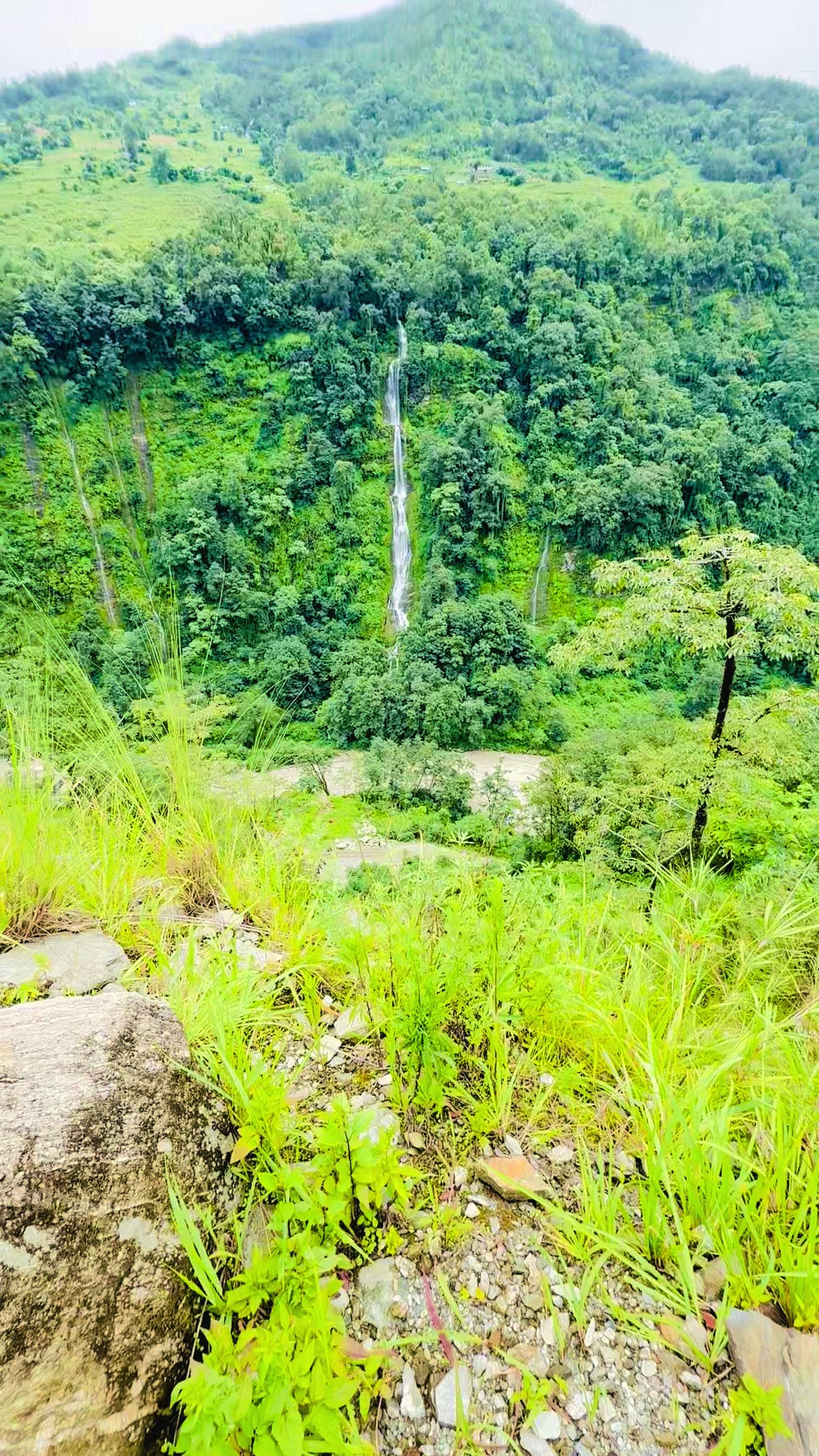 @krishna_tarkariwala