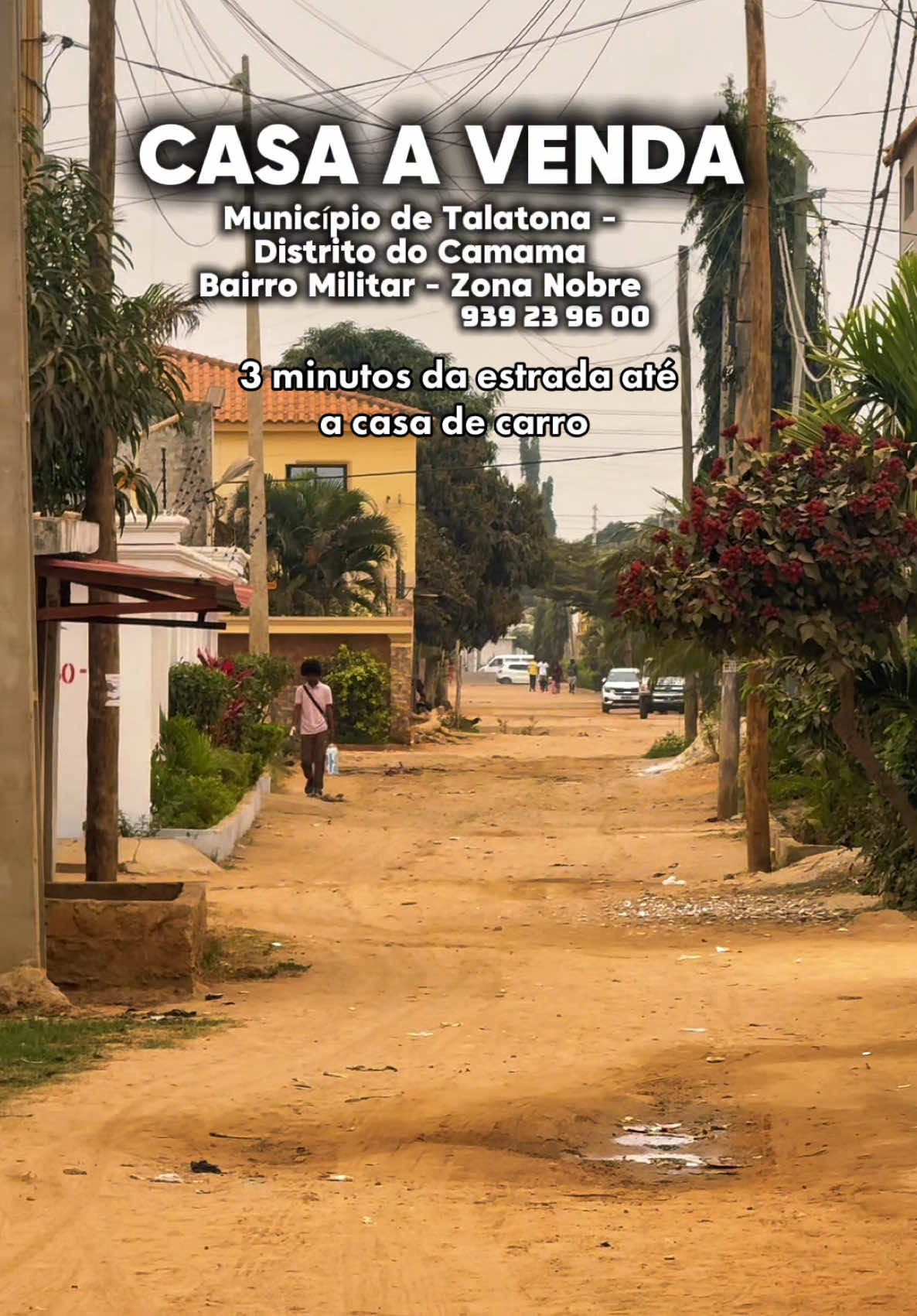 @SEBASTIÃO CARDOSO