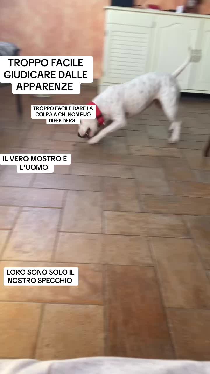@Ilaria Urbani