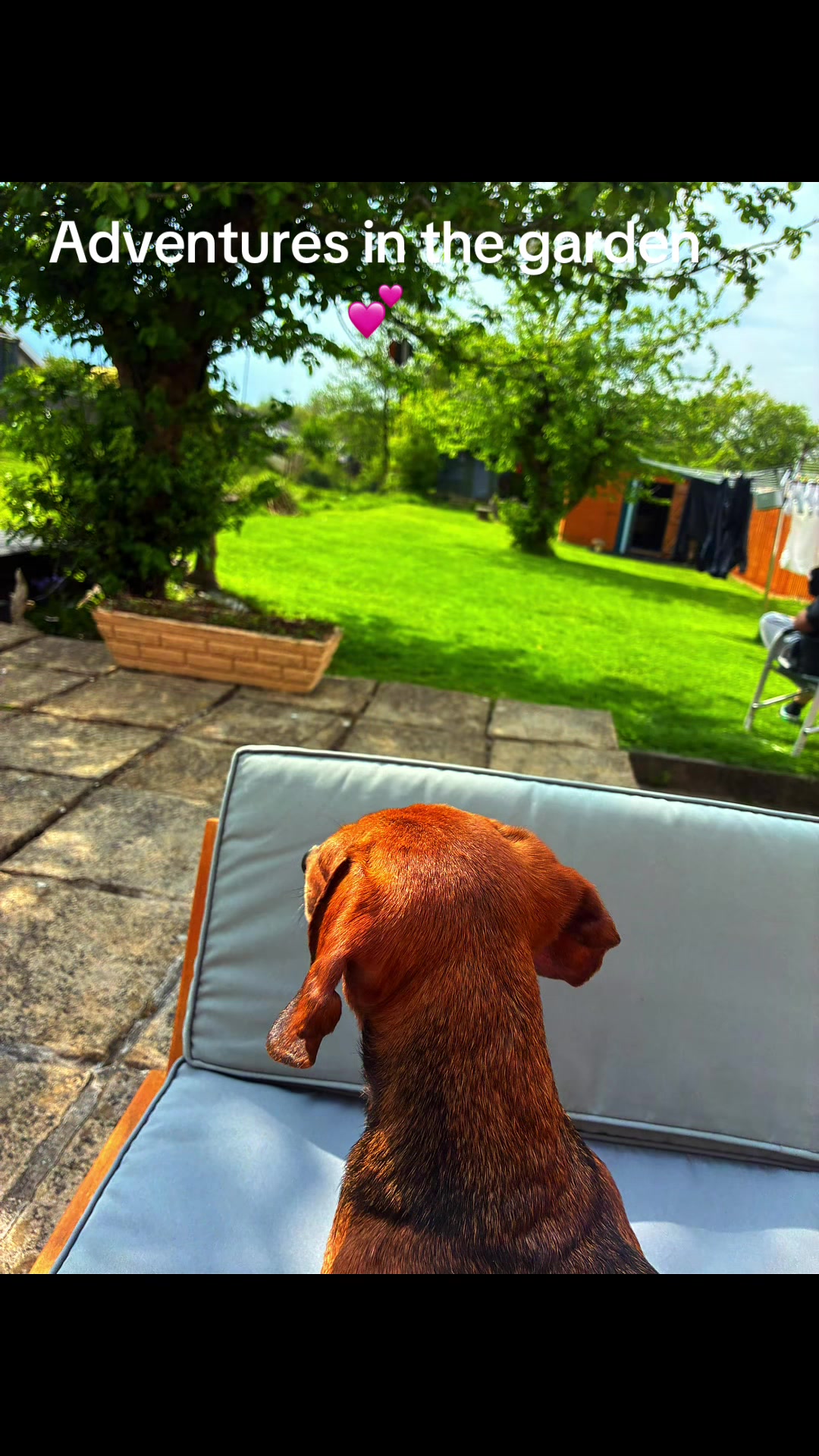 @Caroline Rees Purnell
